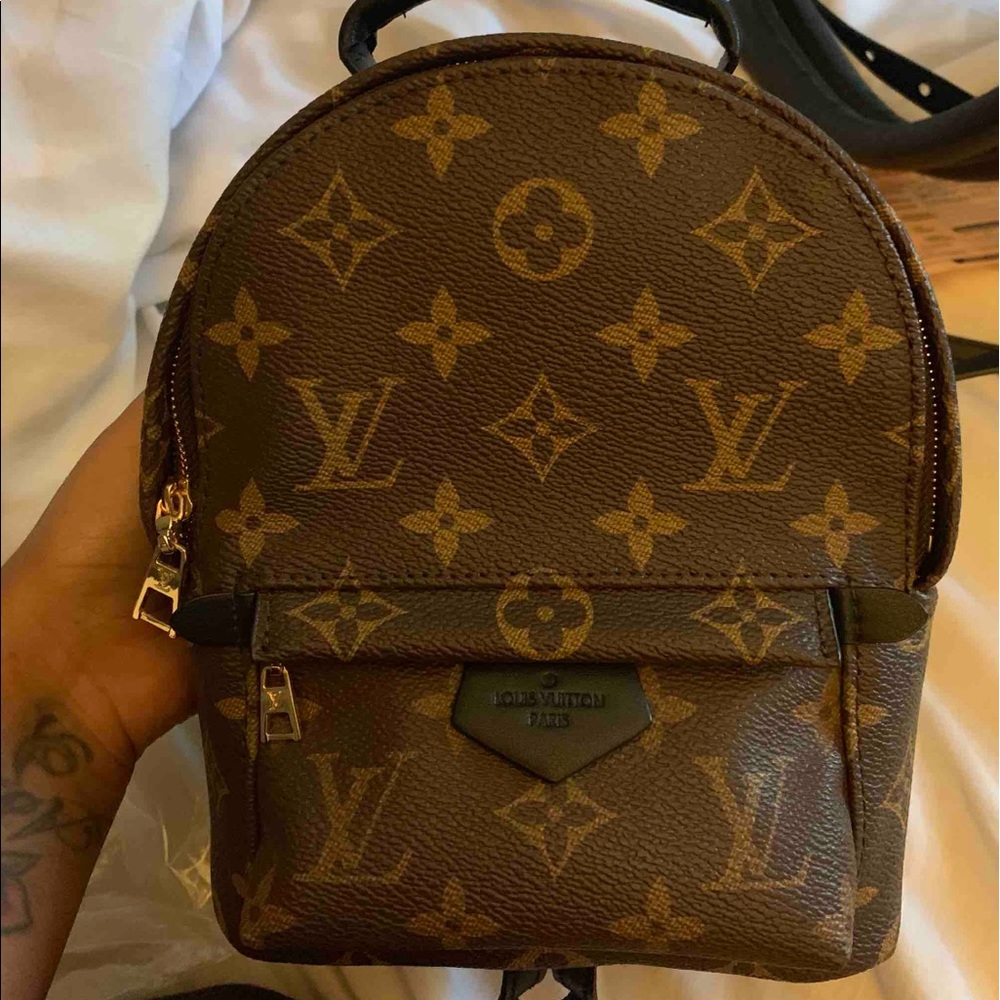 Luxury Mini Backpack Lv Palm Spring
